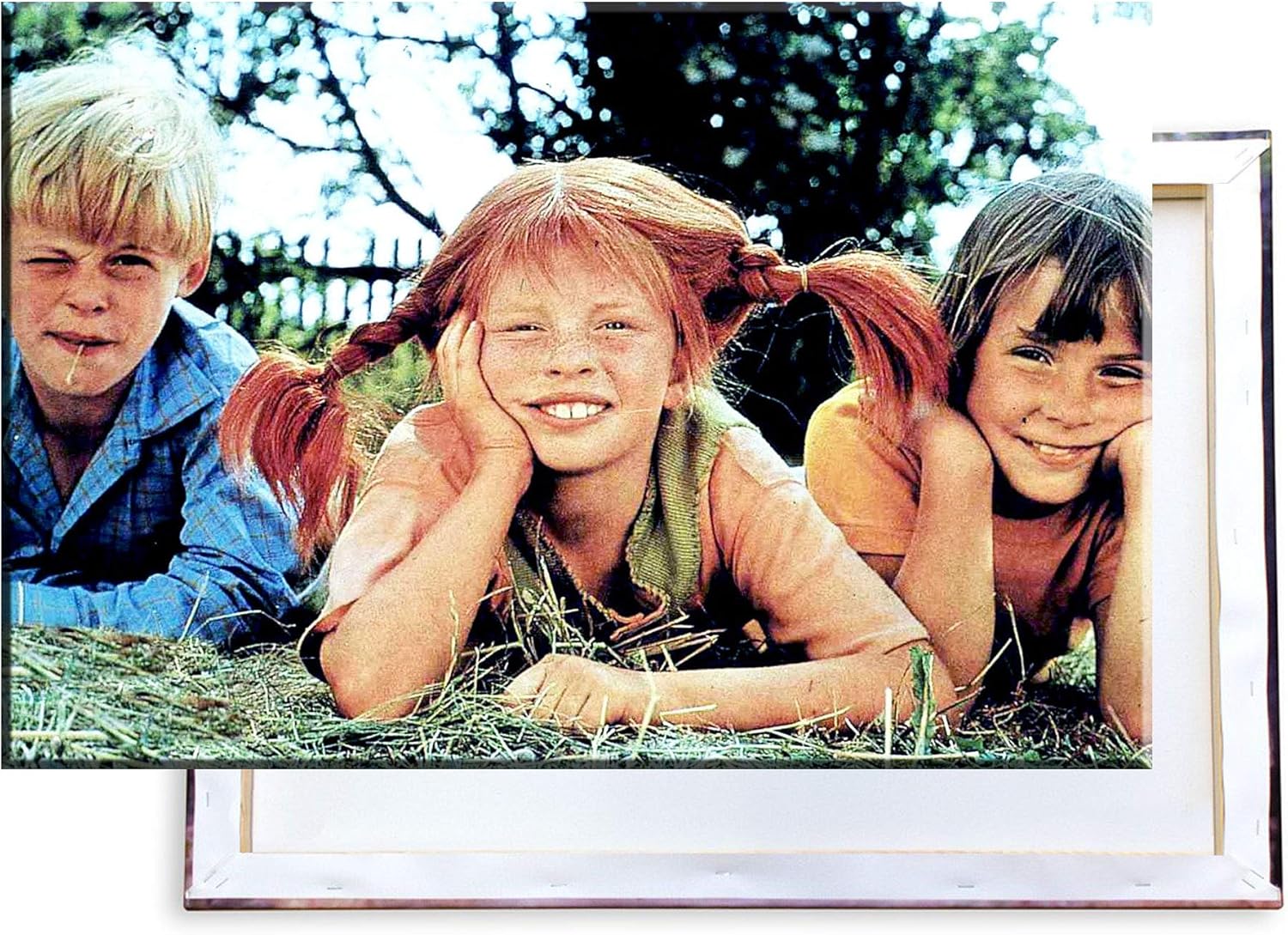 Pippi Langstrumpf Leinwand